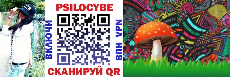 Галлюциногенные грибы Magic Shrooms  как найти закладки  Богданович 